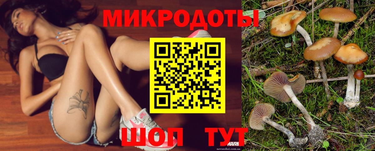 Галлюциногенные грибы MAGIC MUSHROOMS Чапаевск