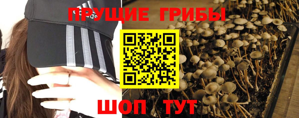 Чапаевск  Галлюциногенные грибы MAGIC MUSHROOMS  Вход с VPN  Псилоцибиновые грибы мухоморы 
